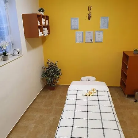 Starr 3* Havlíčkŭv Brod